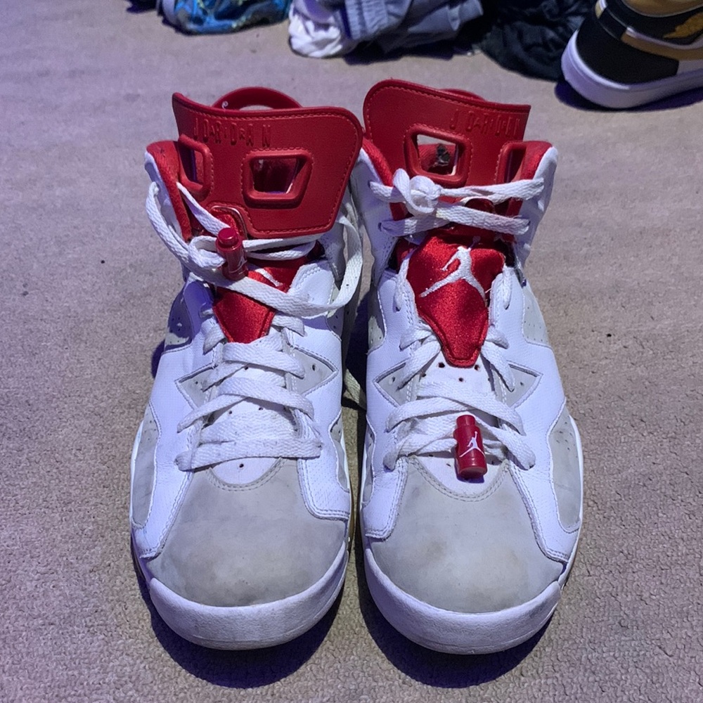 2017 Air Jordan 6 Alternate